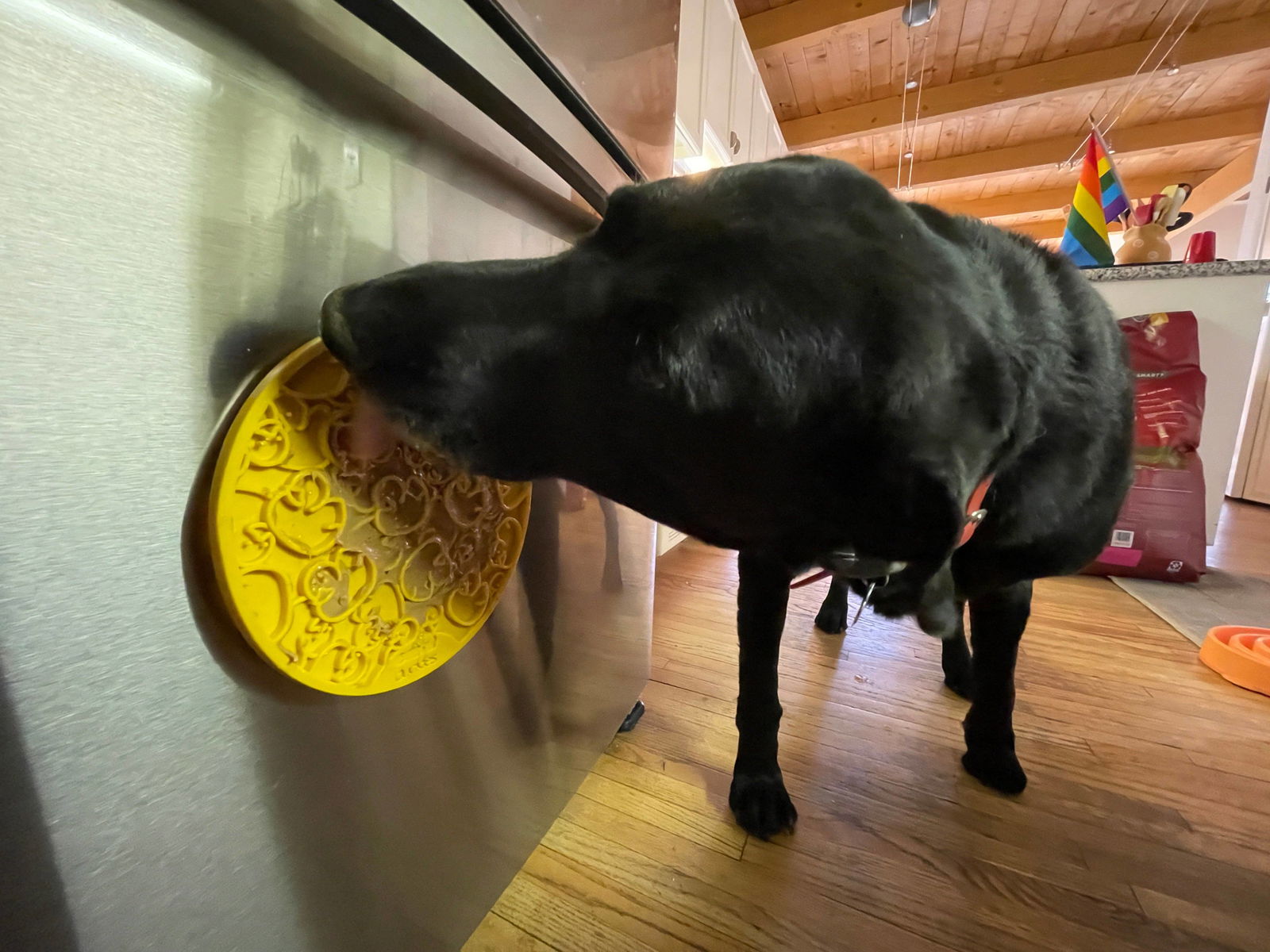 Duckies Design eMat Enrichment Lick Mat With Suction Cups from SodaPup - The Localist