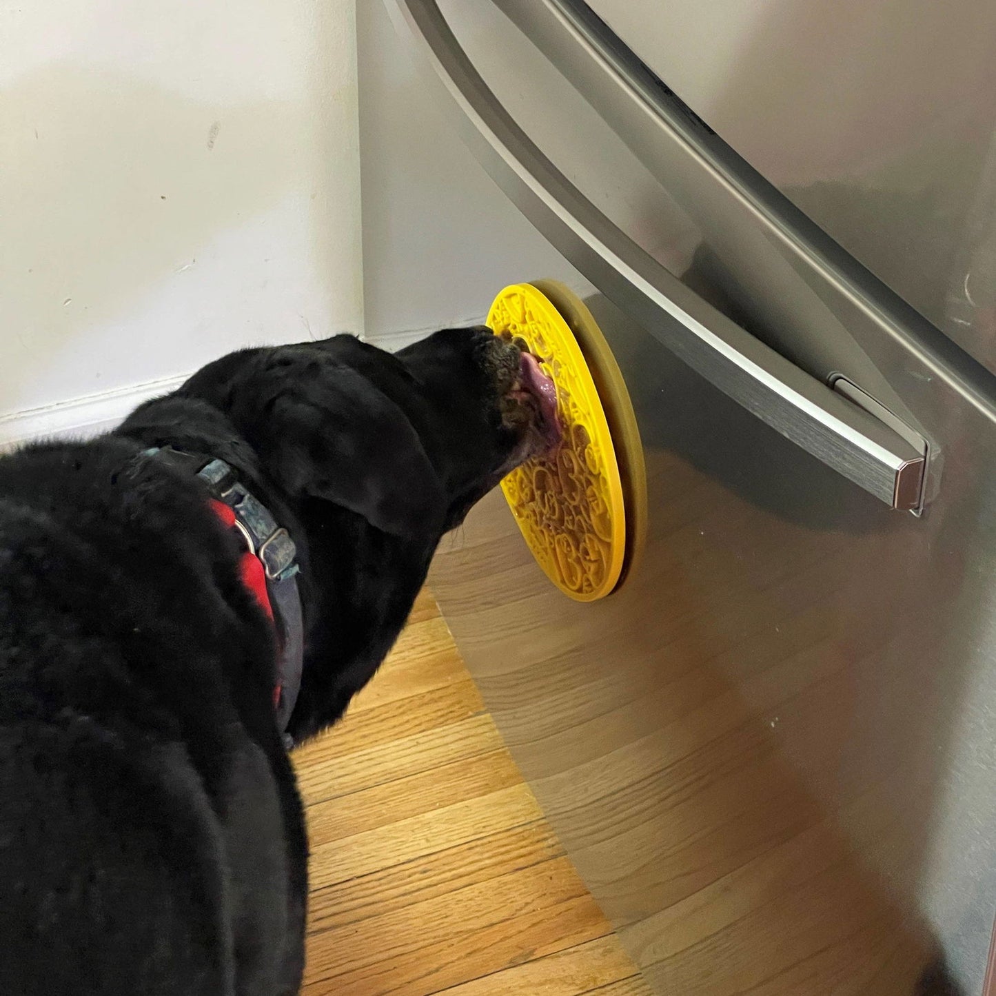 Duckies Design eMat Enrichment Lick Mat With Suction Cups from SodaPup - The Localist