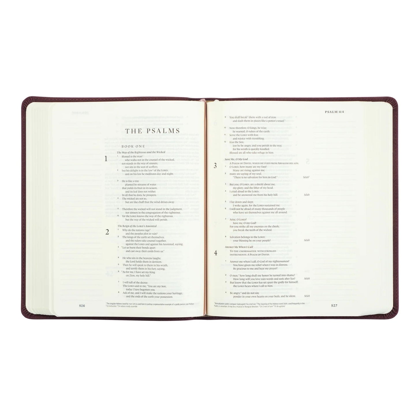 ESV Journaling Bible - Helena- Hosanna Revival - The Localist