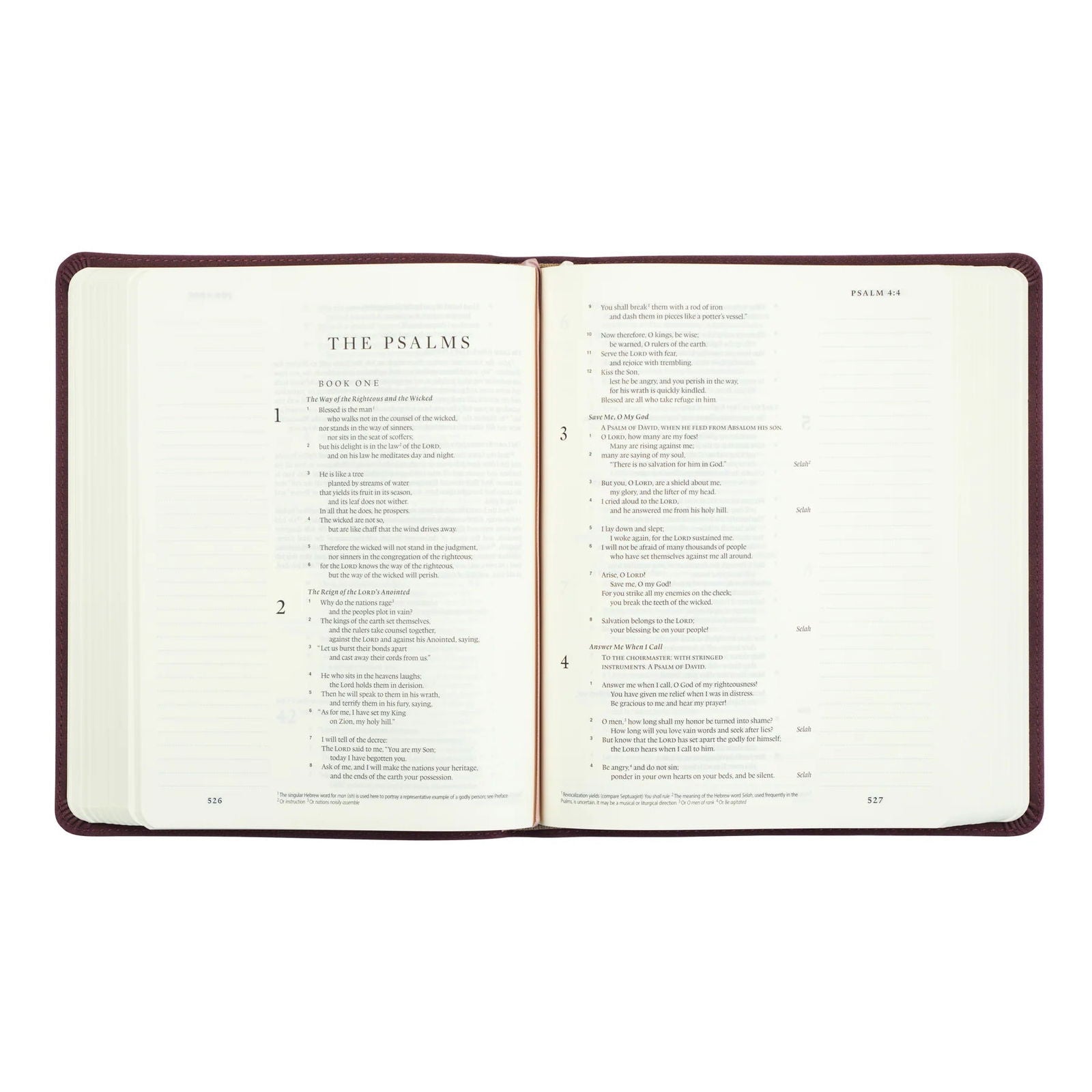 ESV Journaling Bible - Helena- Hosanna Revival - The Localist