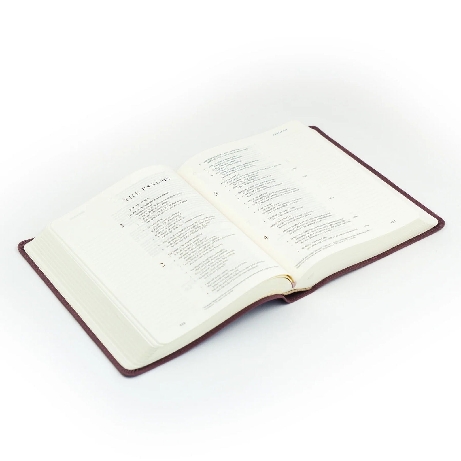 ESV Journaling Bible - Helena- Hosanna Revival - The Localist