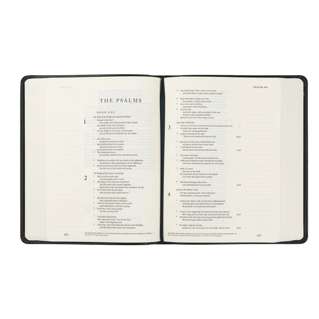 ESV Journaling Bible - Hyde Park - Hosanna Revival - The Localist