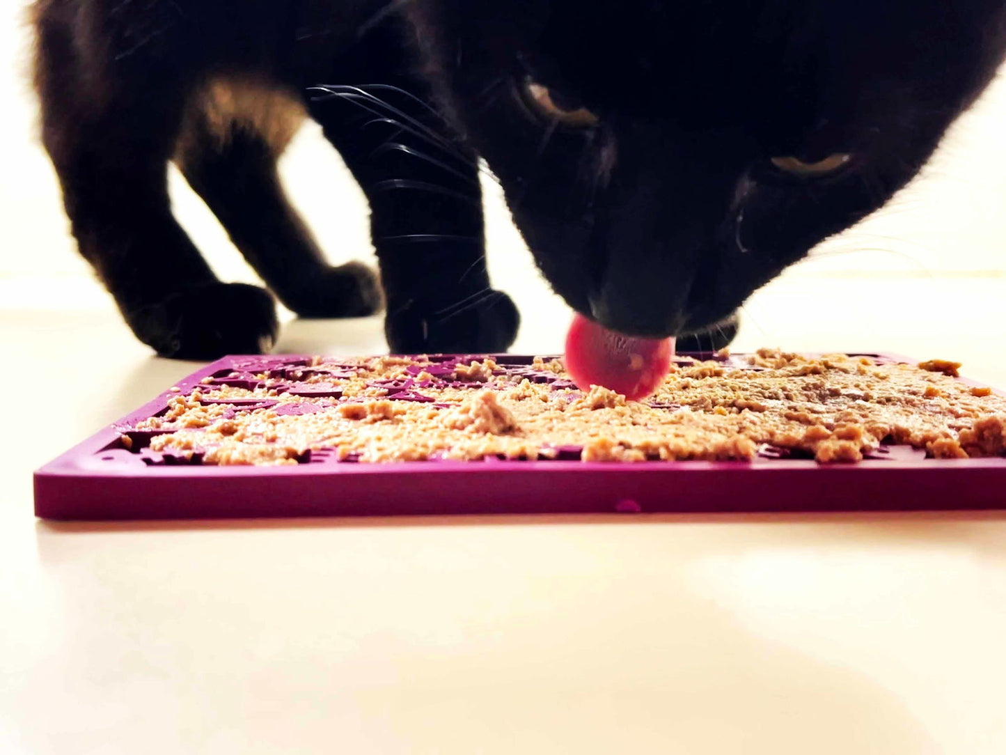 Fishy Design eMat Enrichment Lick Mat - small from SodaPup - The Localist