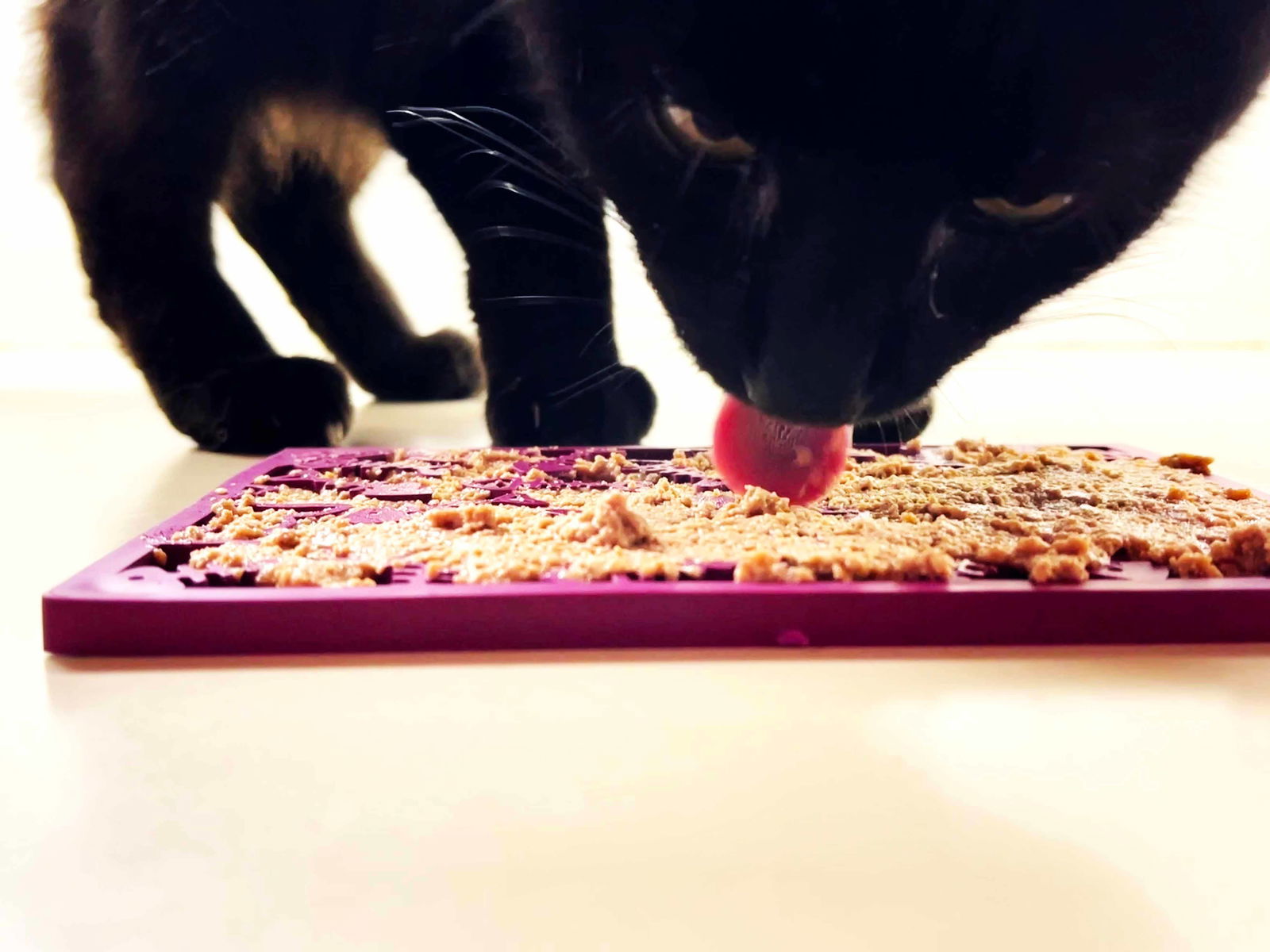 Fishy Design eMat Enrichment Lick Mat - small from SodaPup - The Localist