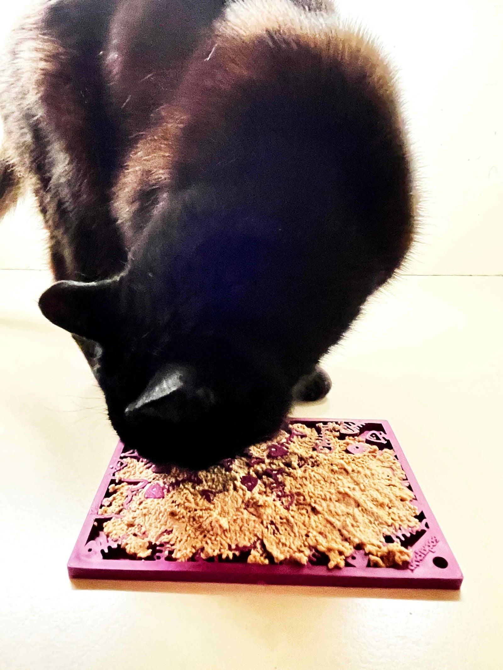 Fishy Design eMat Enrichment Lick Mat - small from SodaPup - The Localist
