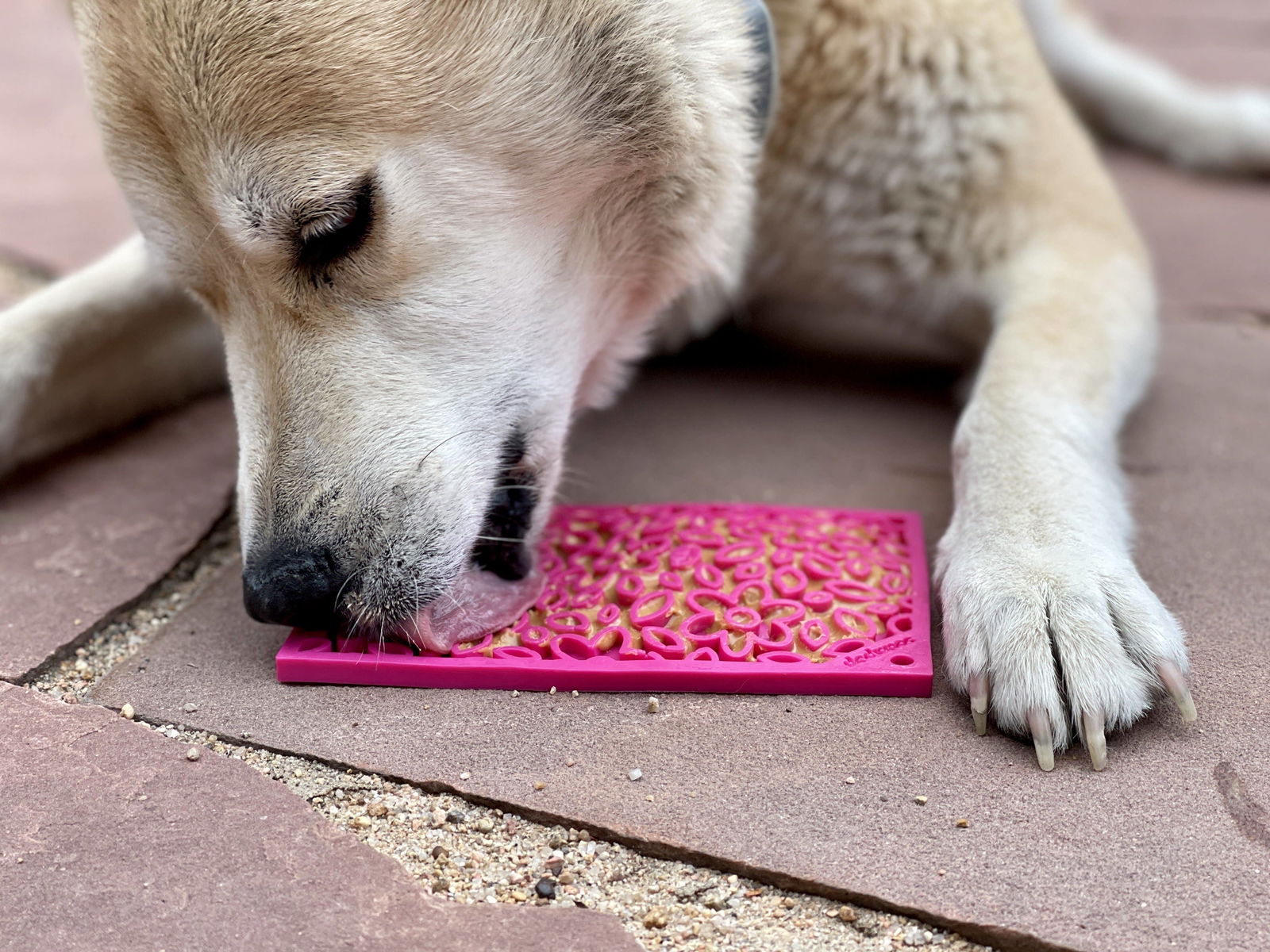 Flower Power Design eMat Enrichment Lick Mat - Pink from SodaPup - The Localist