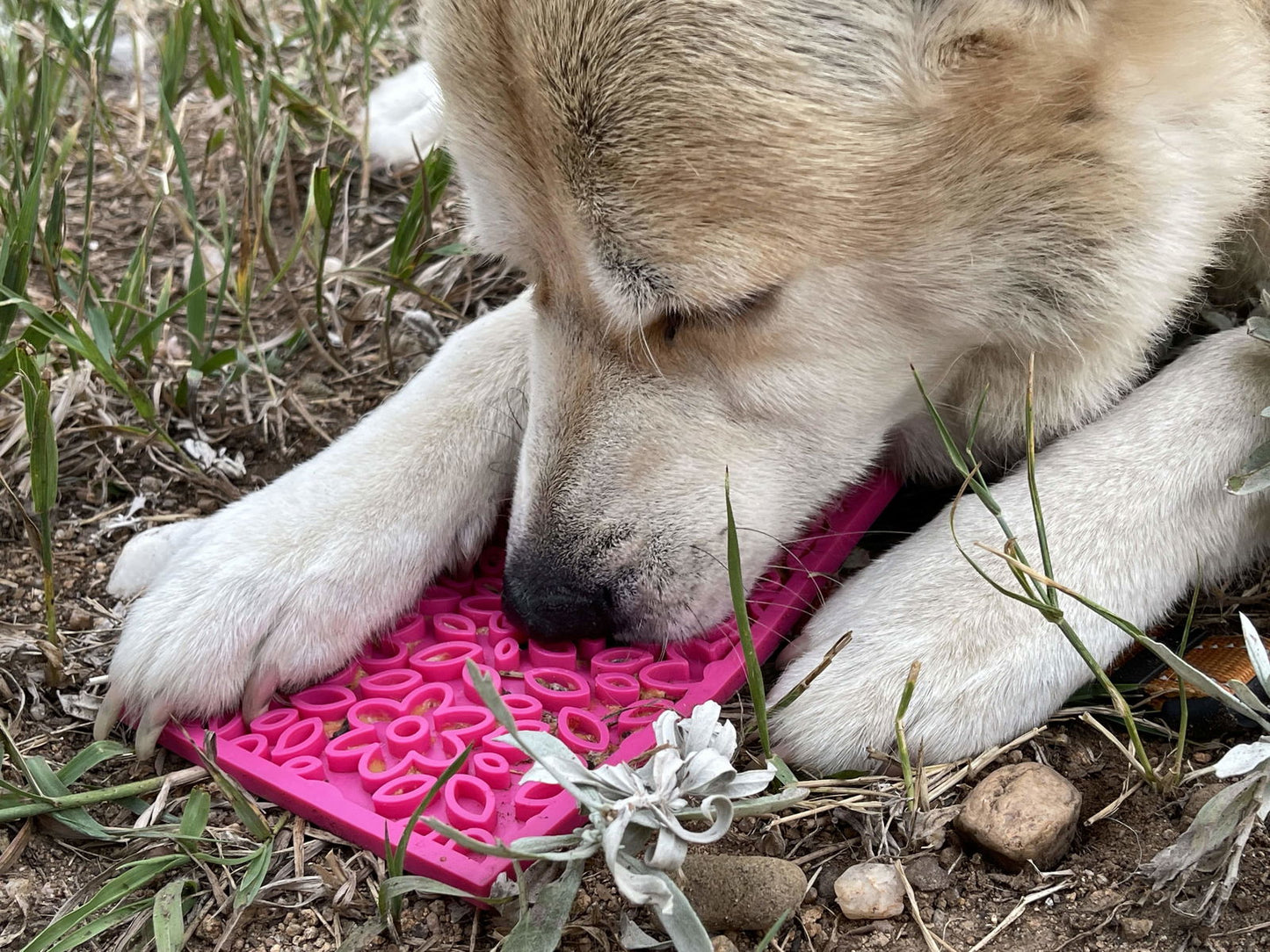 Flower Power Design eMat Enrichment Lick Mat - Pink from SodaPup - The Localist