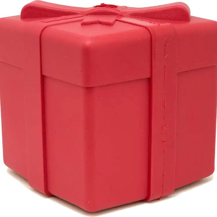 Gift Box Treat Dispenser Chew Toy - The Localist