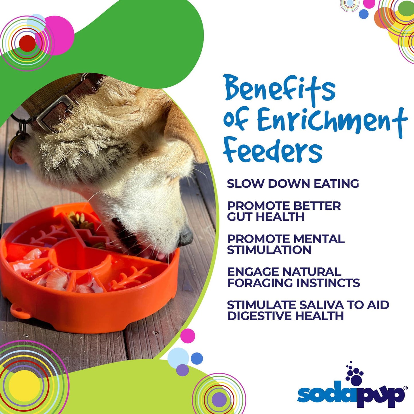 Great Outdoors Design eBowl Enrichment Slow Feeder Bowl for dogs from SodaPup - The Localist
