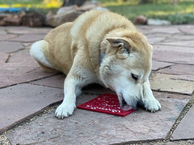 Heart Design Valentine Enrichment Lick Mat - The Localist