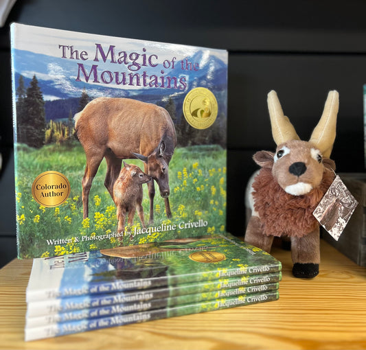 The Magic of the Mountains Children's Book