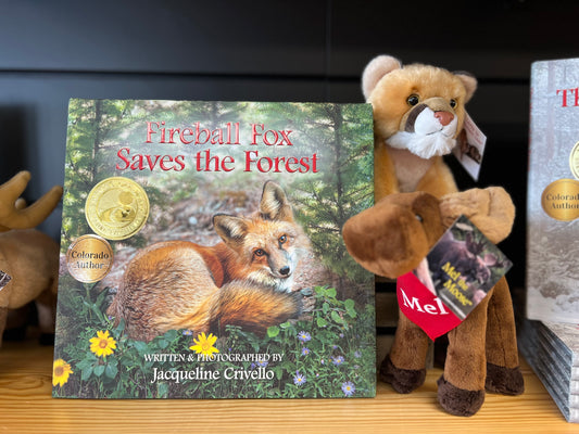 Fireball Fox Saves the Forest Children's Book