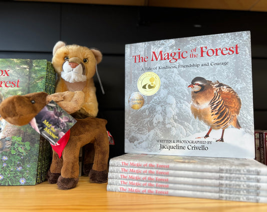 The Magic of the Forest Children's Book