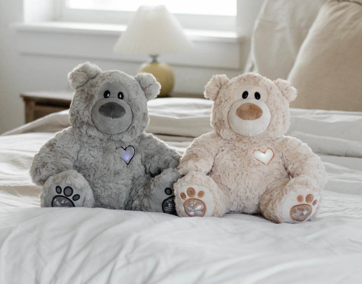 Musical Teddy Bear