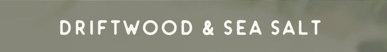 4oz Driftwood and Sea Salt Tin Candle