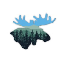 Colorado Moose Sticker