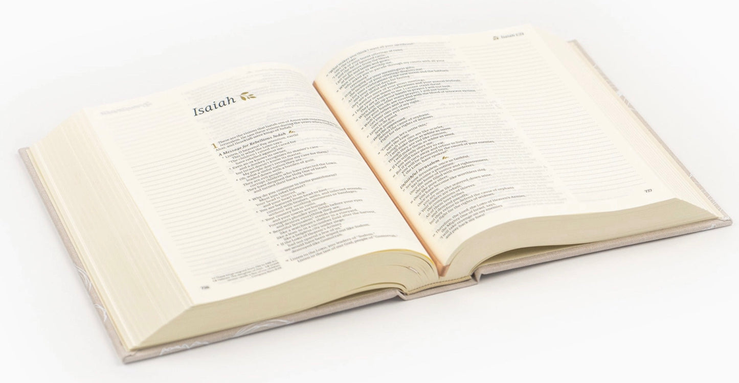 NLT Notetaking Bible - Cordova Theme