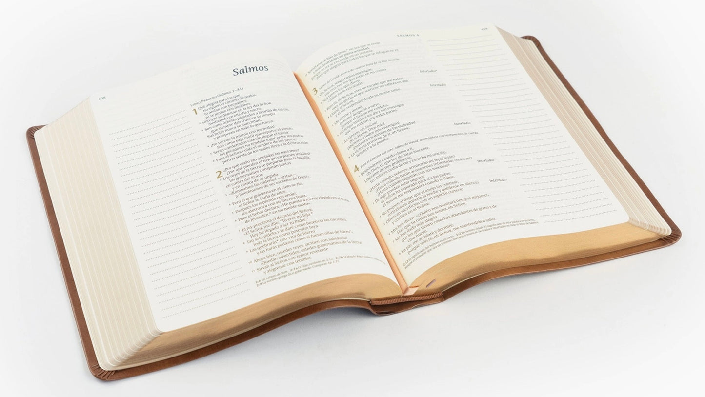 NTV Biblia De Morgen Amplio - Aurora Theme