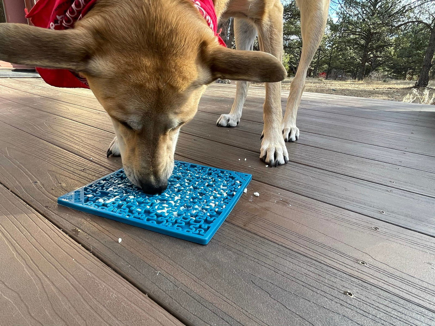 Jigsaw Design Emat Enrichment Licking Mat - The Localist