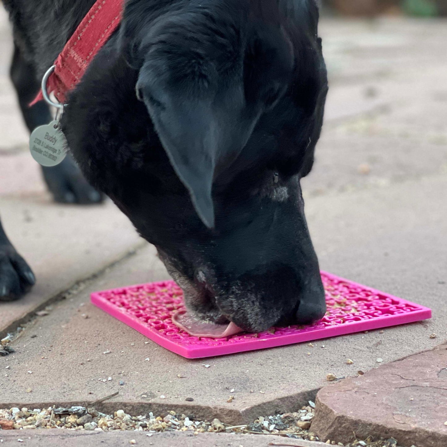 Jigsaw Design Emat Enrichment Licking Mat - The Localist