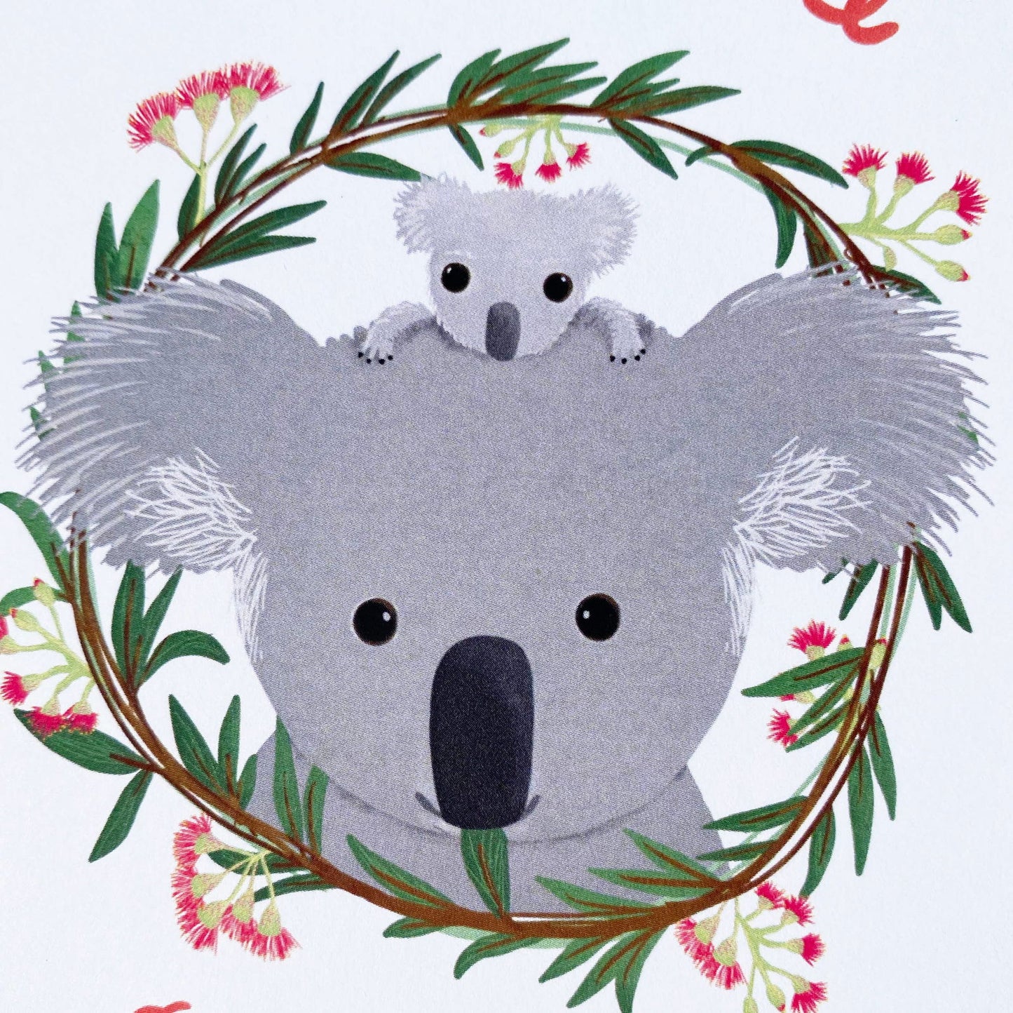 Koala Baby Card - The Localist