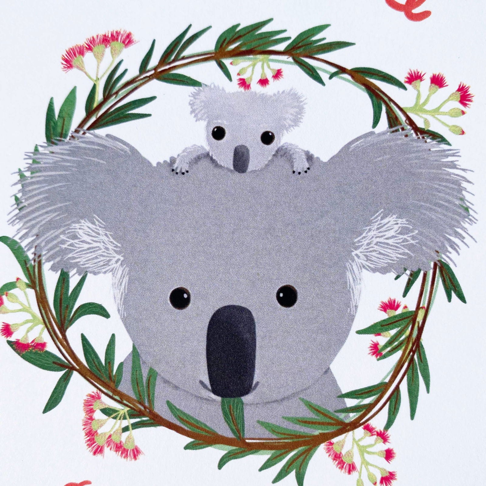 Koala Baby Card - The Localist