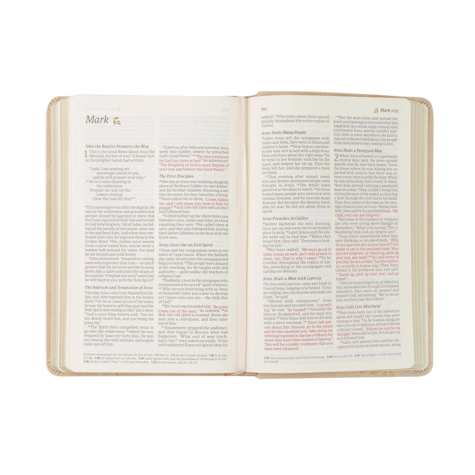 NLT Compact Bible: Sonora Theme - The Localist