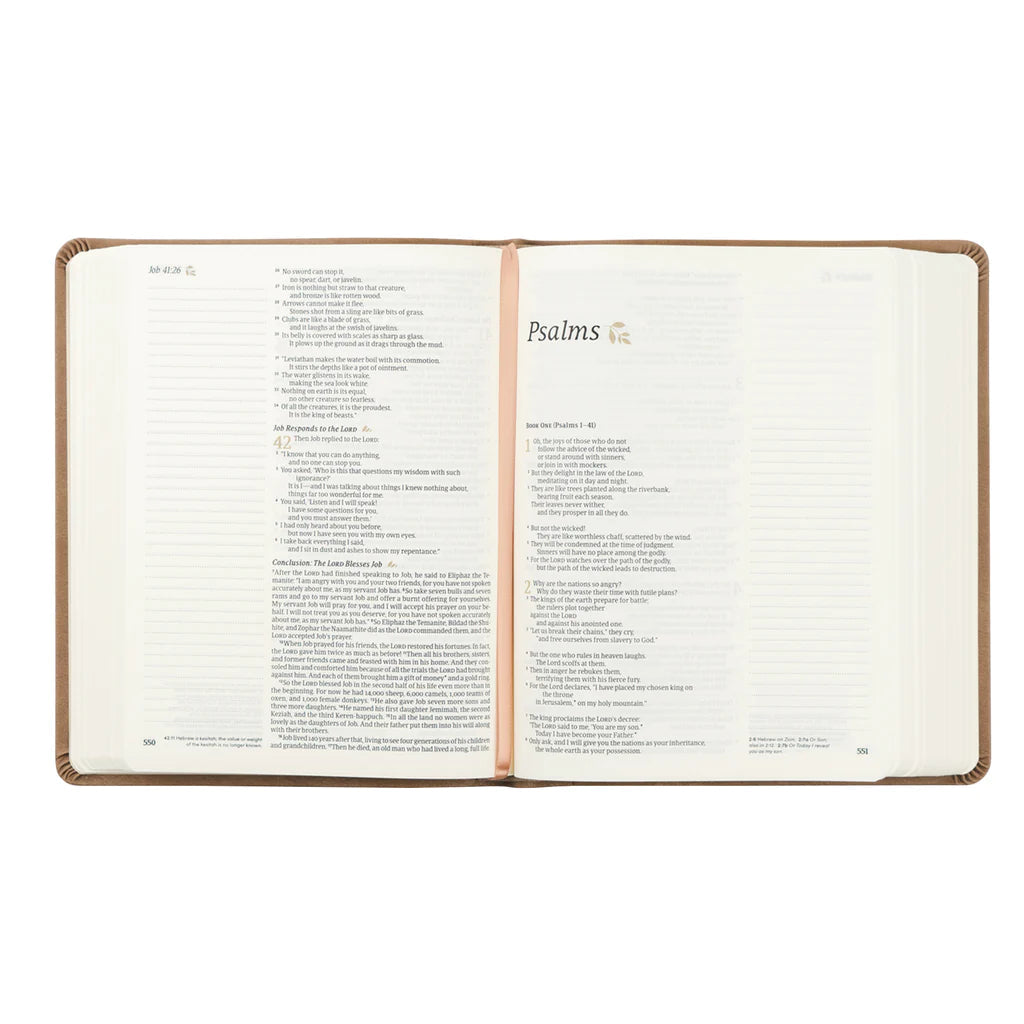 Galilee NLT Notetaking Bible Hosanna Revival - The Localist