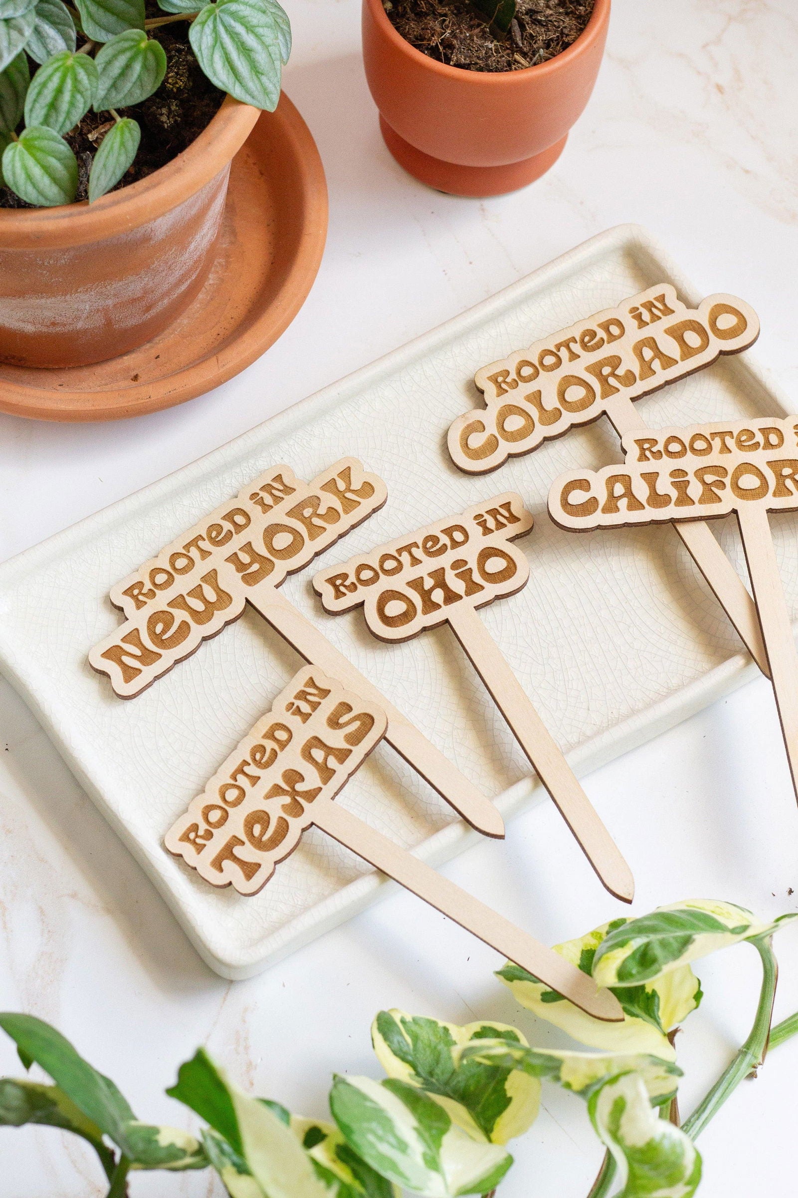 house plant stakes Retro State Name Plant Stakes – The Localist