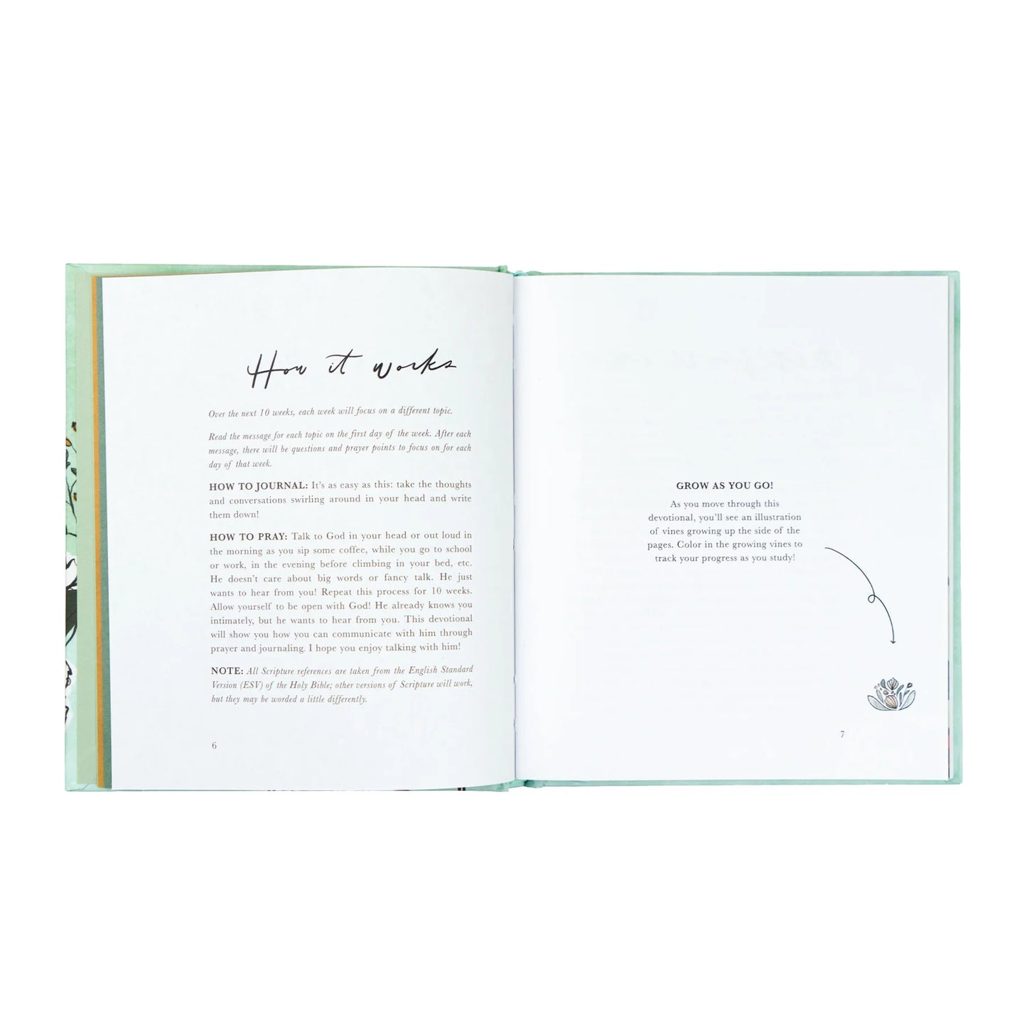 Rooted to Rise by Haley Crabtree