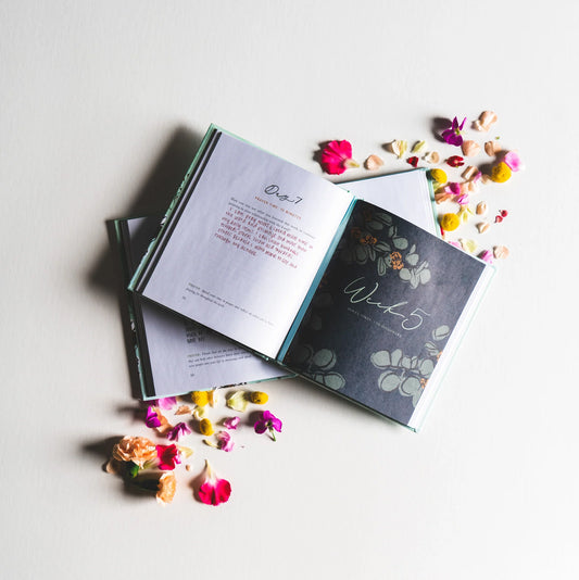 Rooted to Rise by Haley Crabtree