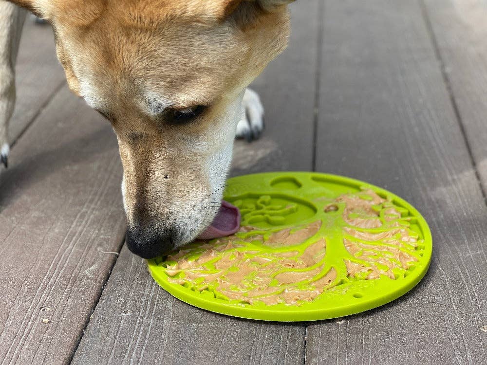 Tree of Life eMat Enrichment Lick Mat With Suction Cups from SodaPup - The Localist