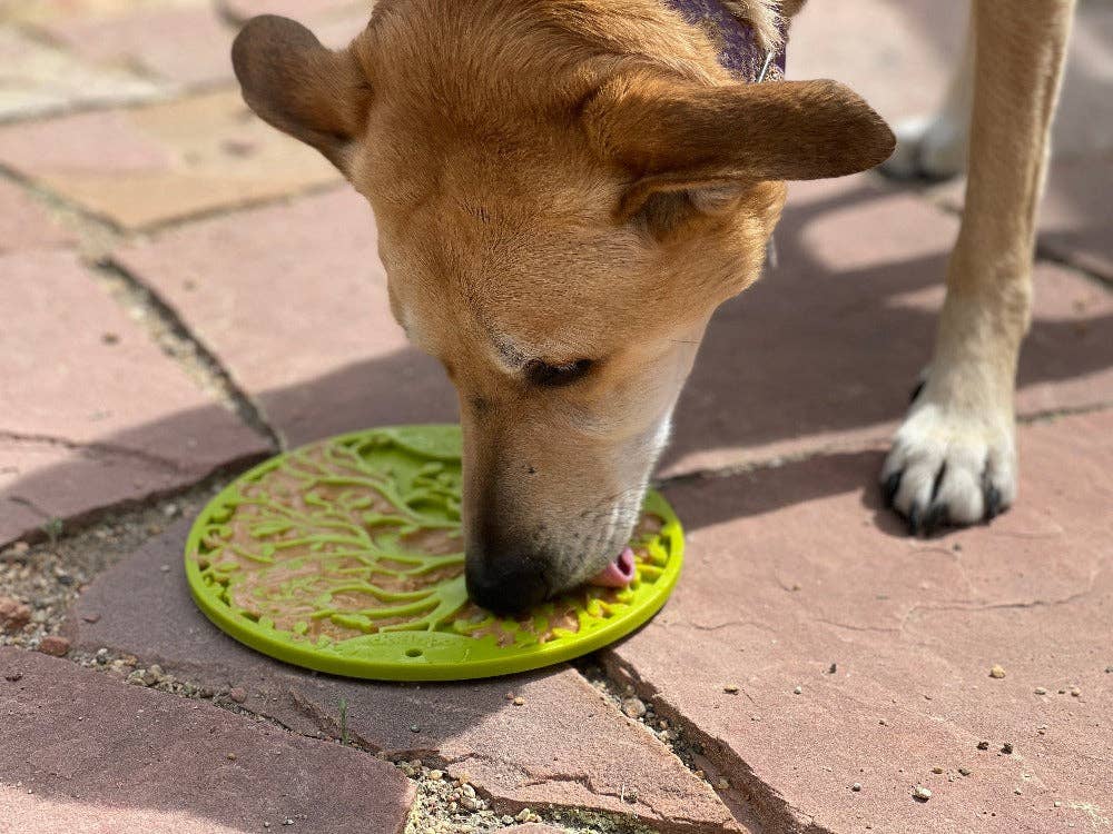 Tree of Life eMat Enrichment Lick Mat With Suction Cups from SodaPup - The Localist