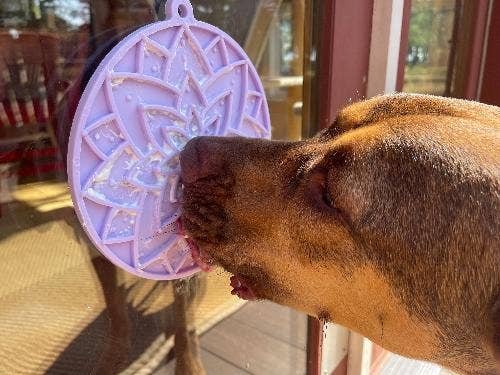 Lotus eMat Enrichment Lick Mat With Suction Cups - The Localist