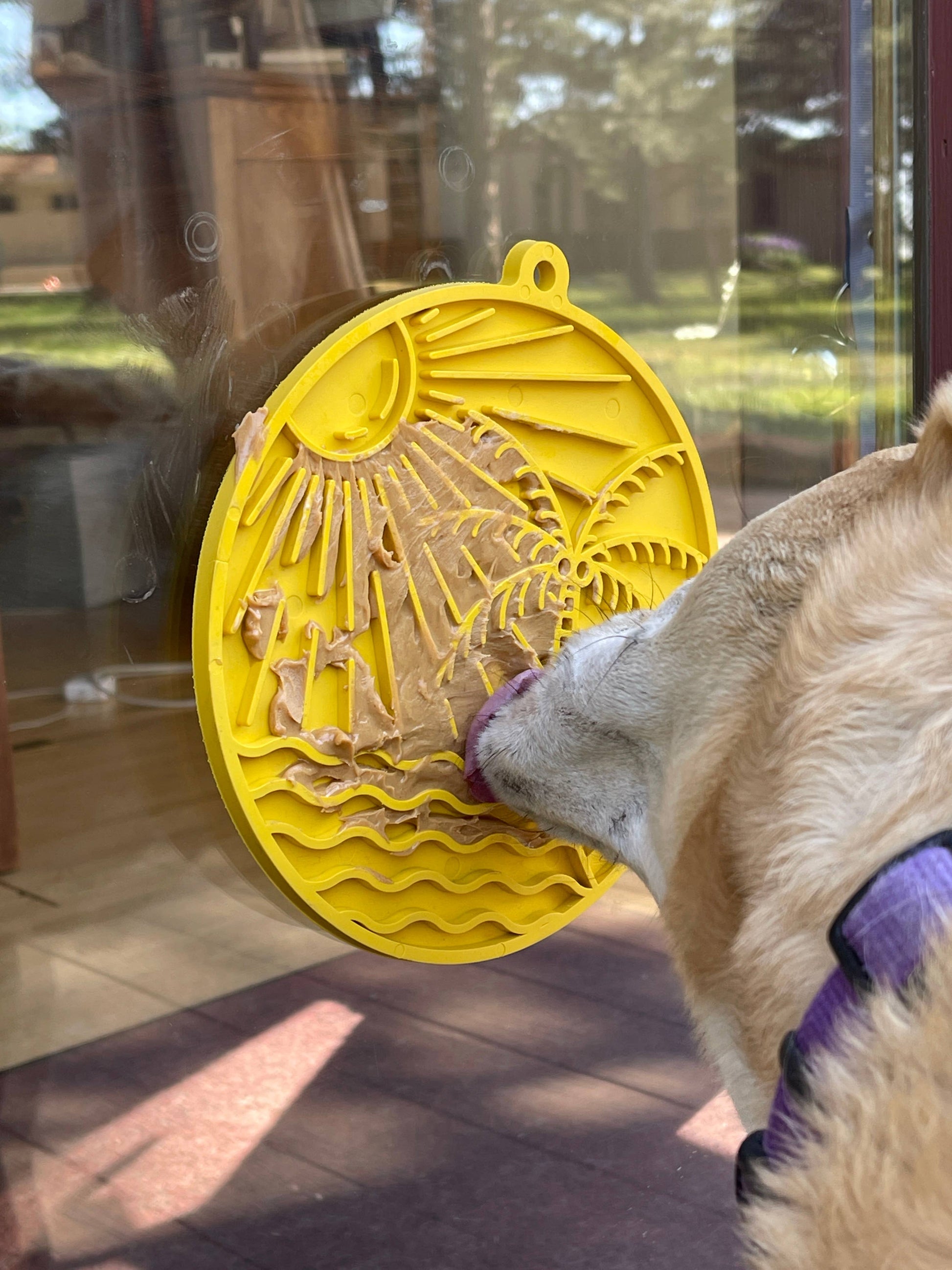 Sun n' Sea eMat Enrichment Lick Mat With Suction Cups - The Localist