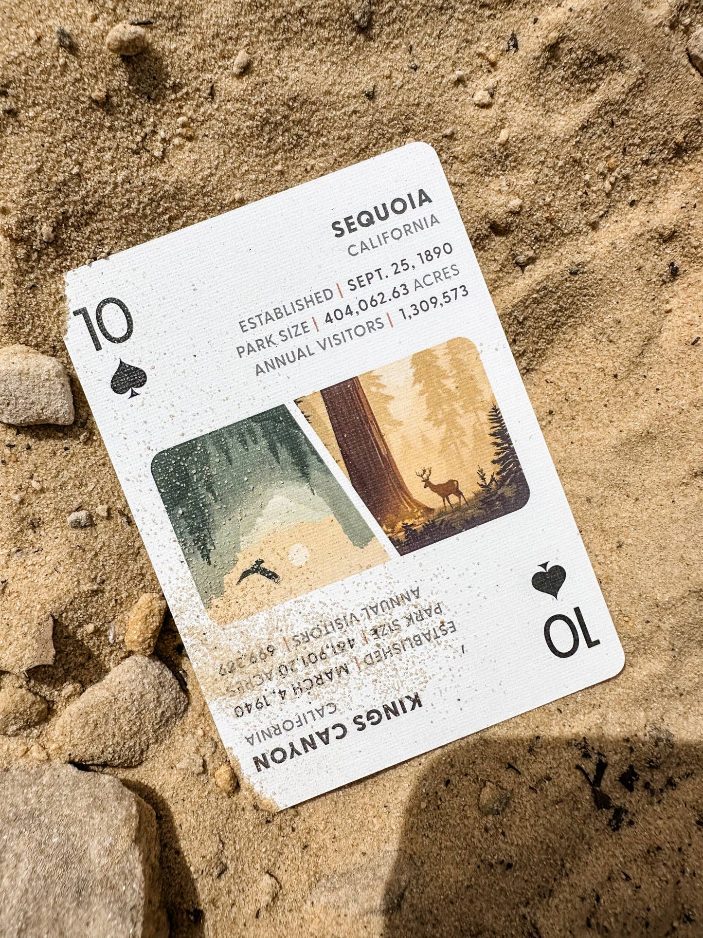 The World's Best National Parks Playing Cards
