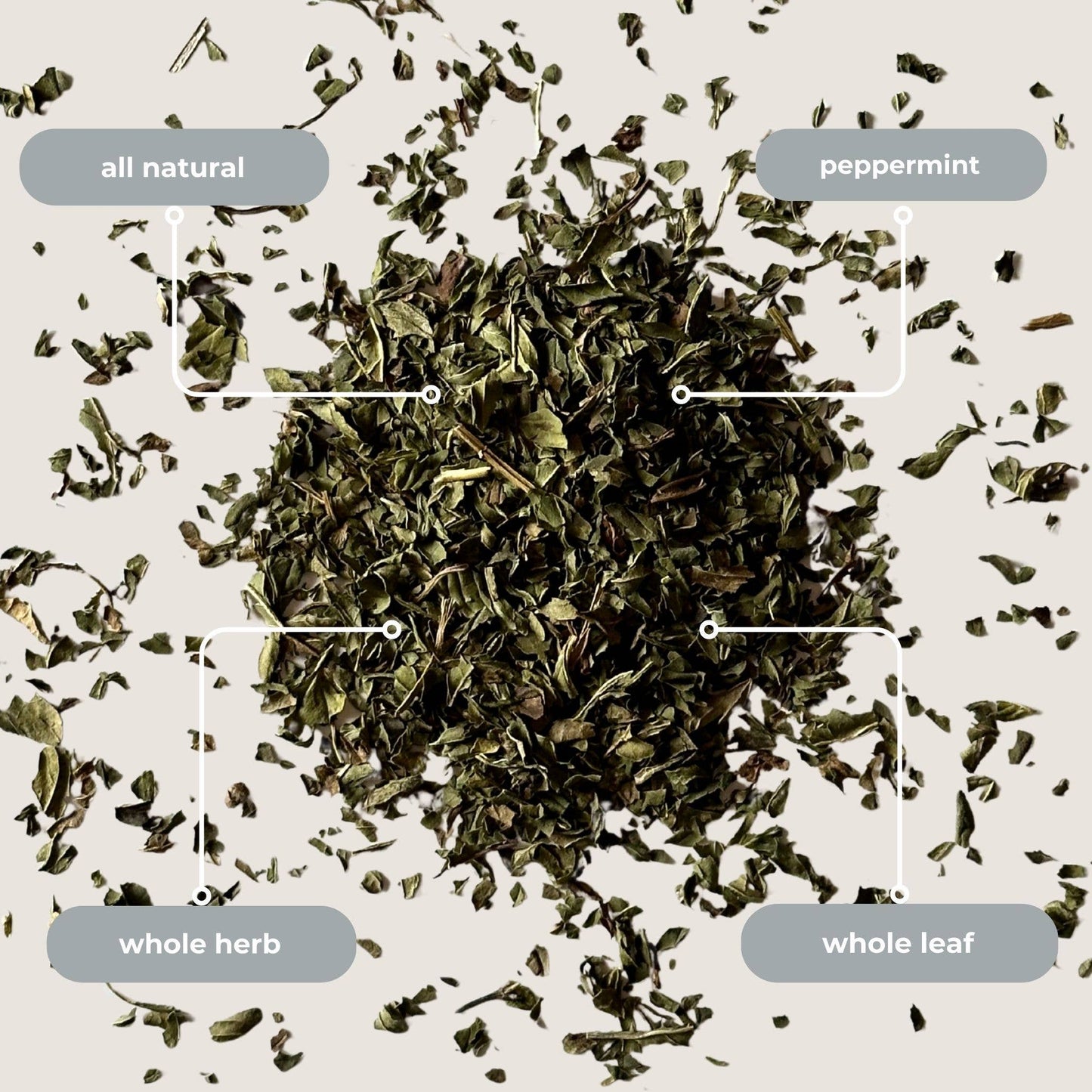 Peppermint Herbal Mini Tea Tube Gift (5 tea bags)