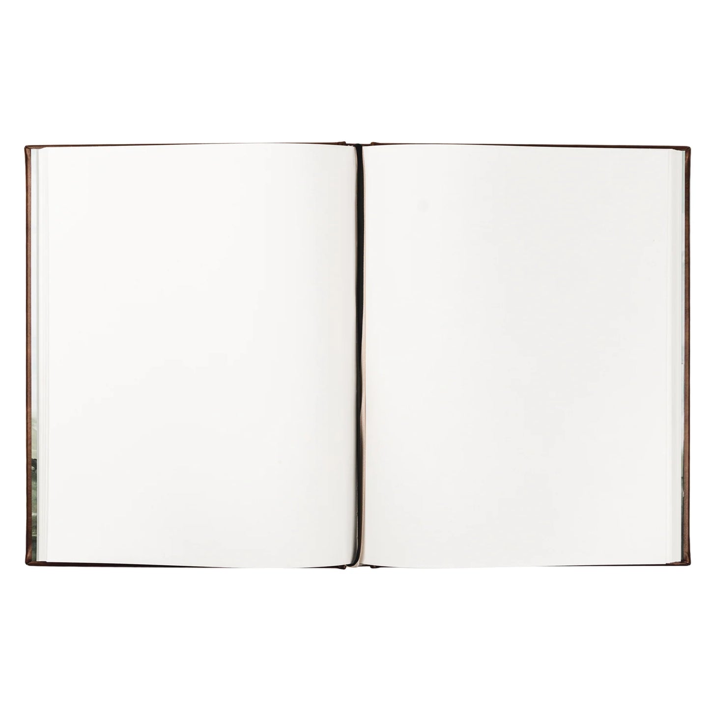 journal open to two white blank pages