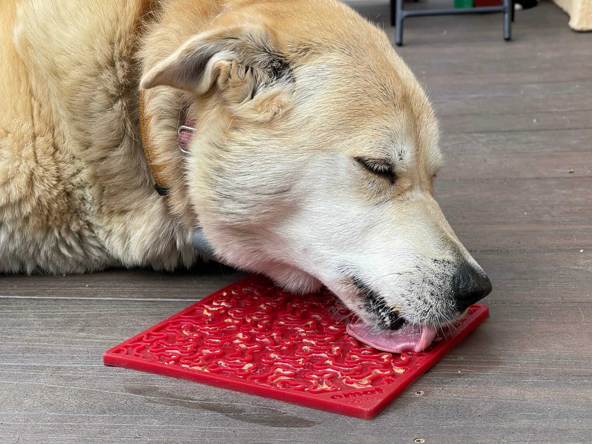 Bones Design Emat Enrichment Licking Mat - The Localist