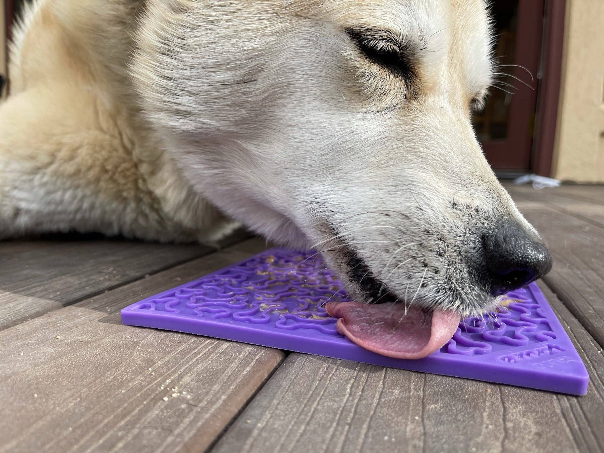 Bones Design Emat Enrichment Licking Mat - The Localist