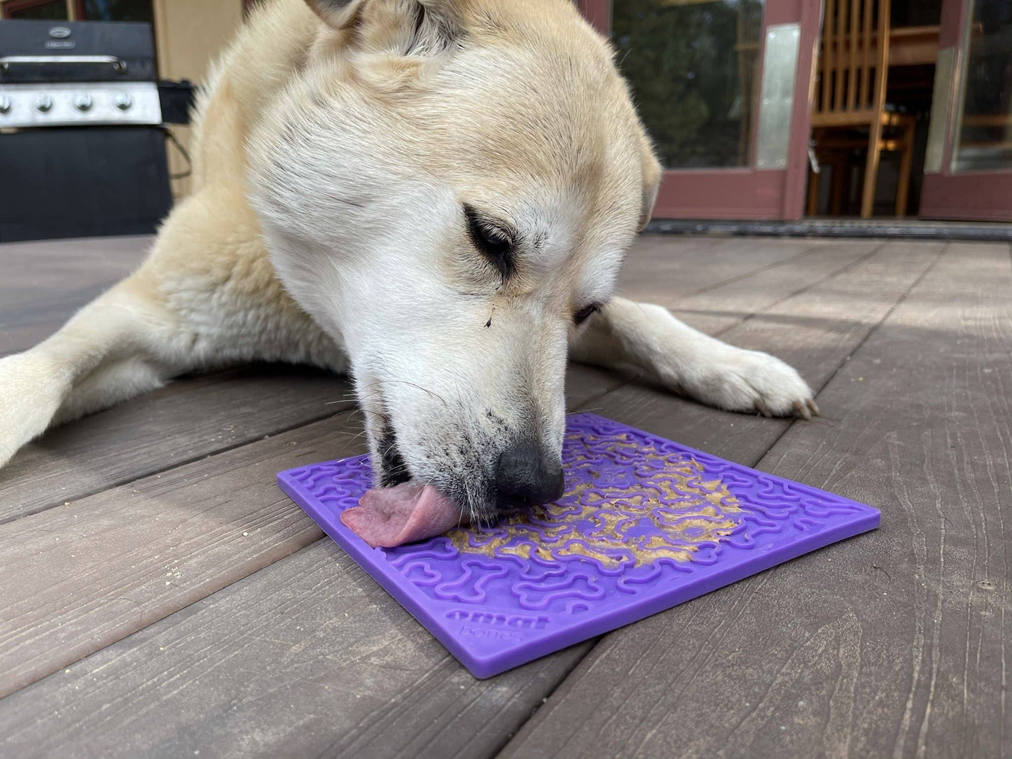 Bones Design Emat Enrichment Licking Mat - The Localist