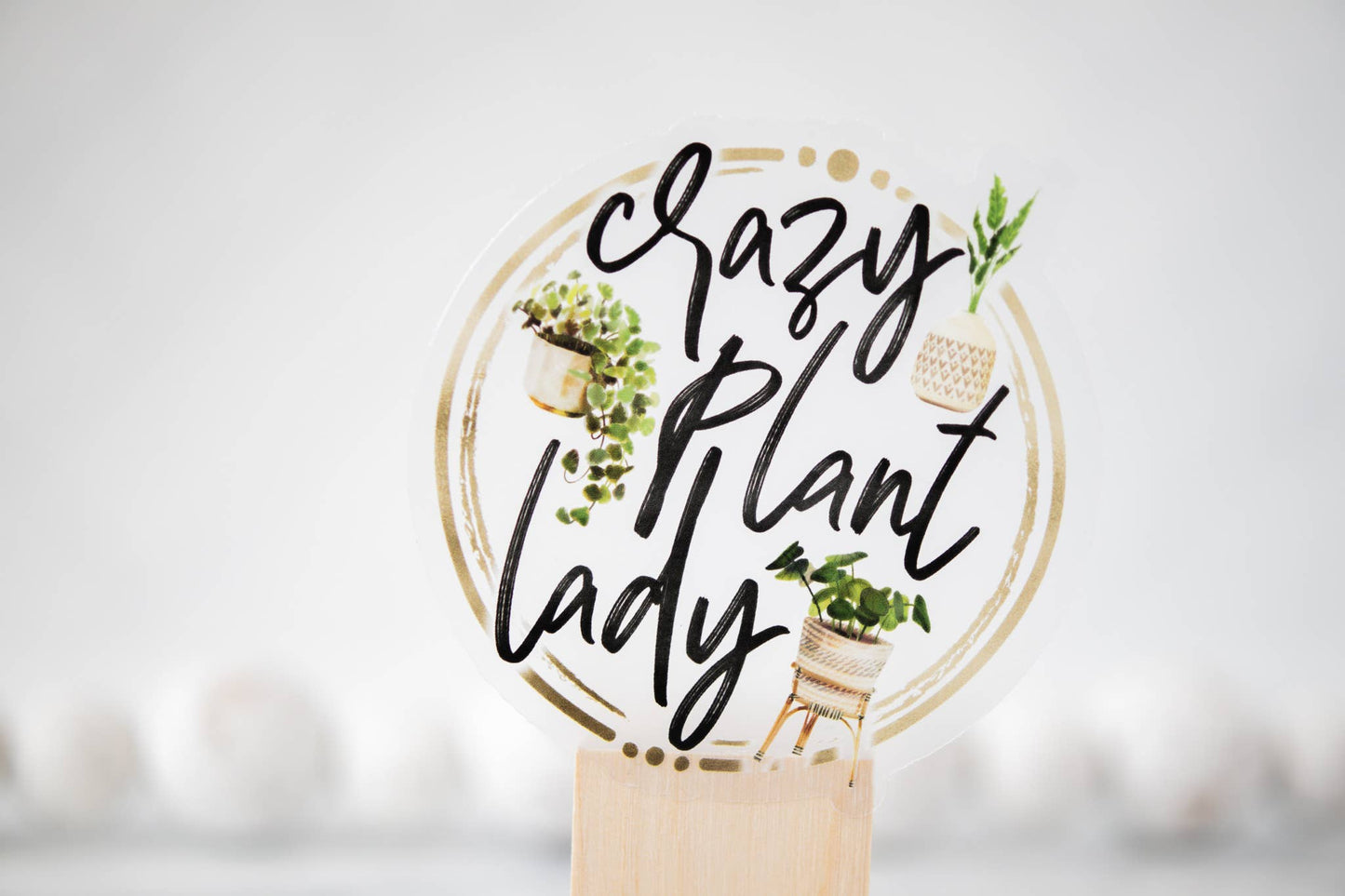 Crazy Plant Lady Spring, Clear Vinyl , Sticker, 3 in.
