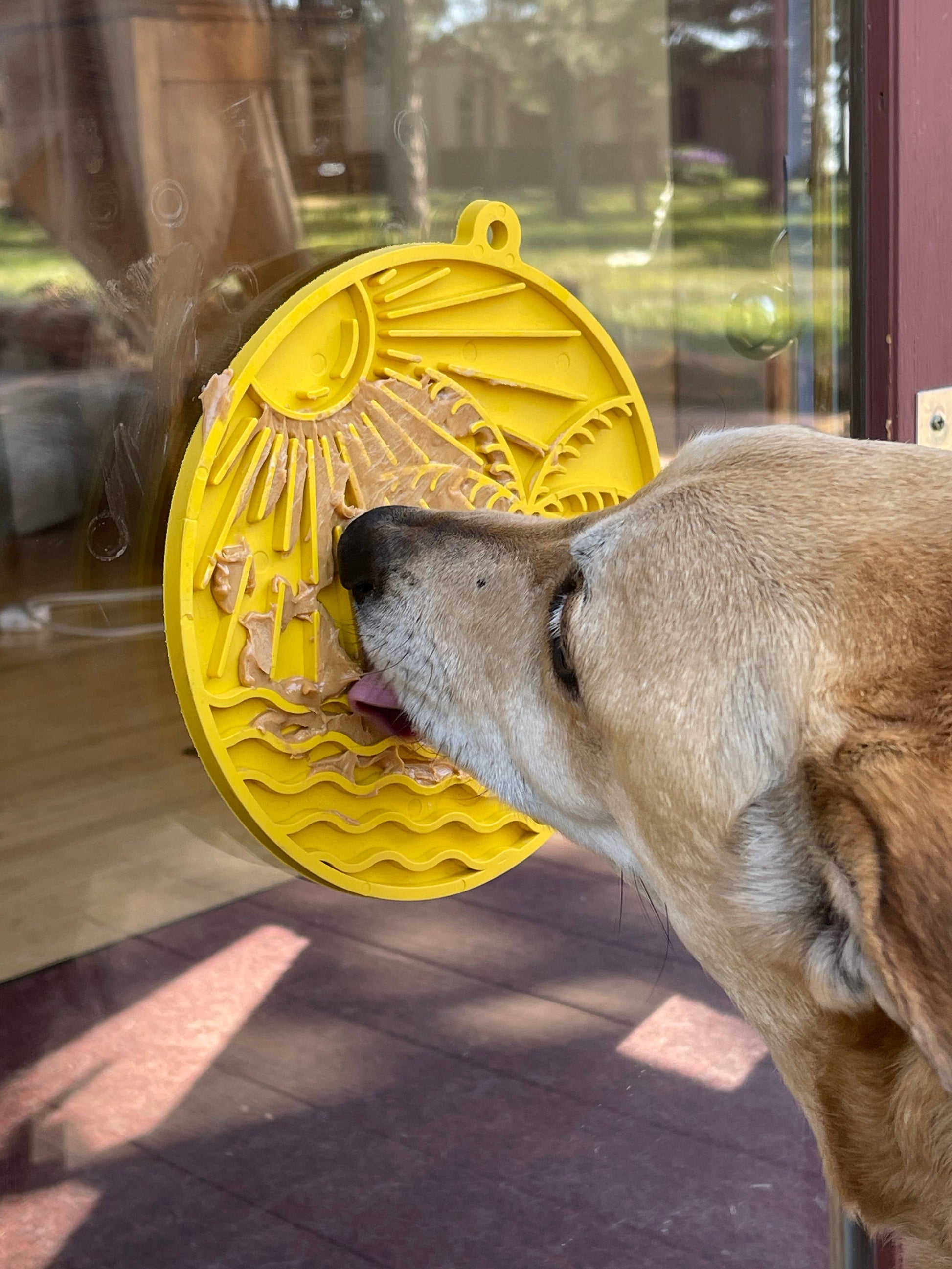 Sun n' Sea eMat Enrichment Lick Mat With Suction Cups - The Localist